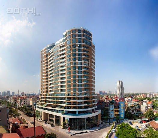 4265223 ảnh đại diện 1