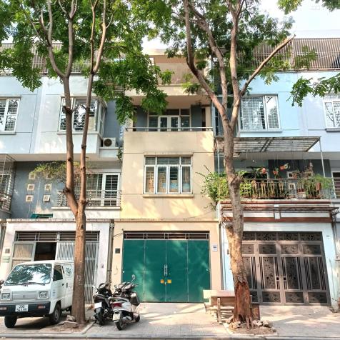 4266343 ảnh đại diện 1