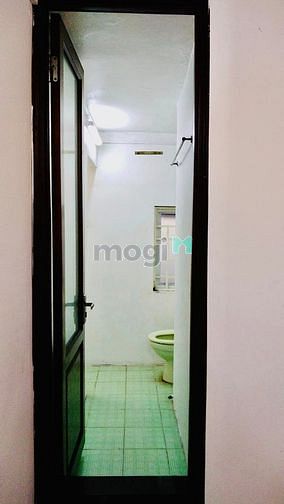 4266483 ảnh đại diện 2