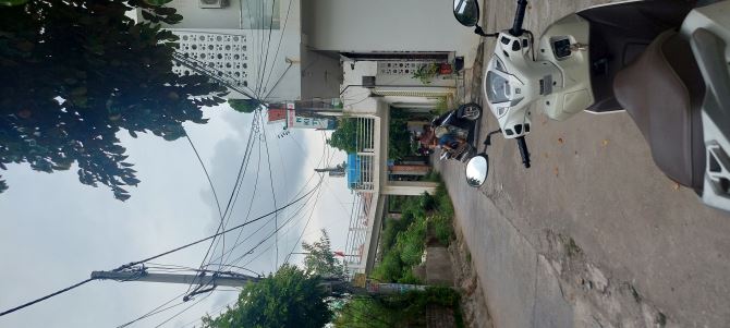 4266260 ảnh đại diện 1