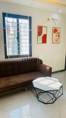 4265575 ảnh đại diện 1