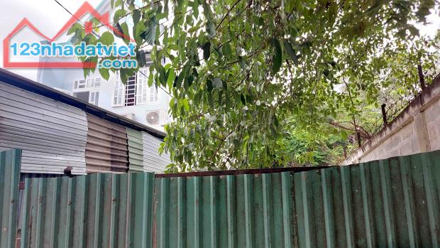 4264790 ảnh đại diện 2