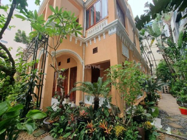 4266740 ảnh đại diện 2