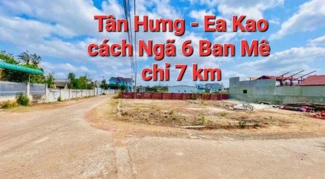 4266171 ảnh đại diện 2