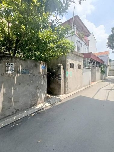 4264598 ảnh đại diện 1