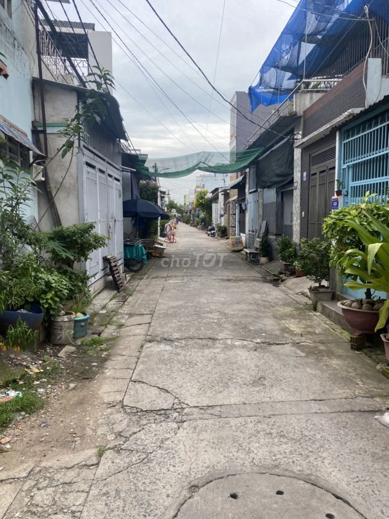 4267273 ảnh đại diện 2