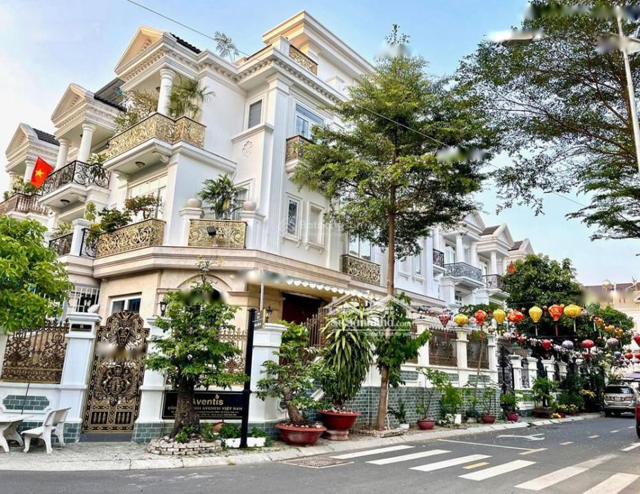 4267044 ảnh đại diện 1