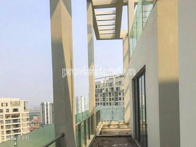 4267148 ảnh đại diện 1