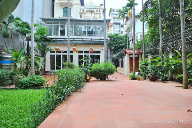 4266724 ảnh đại diện 1