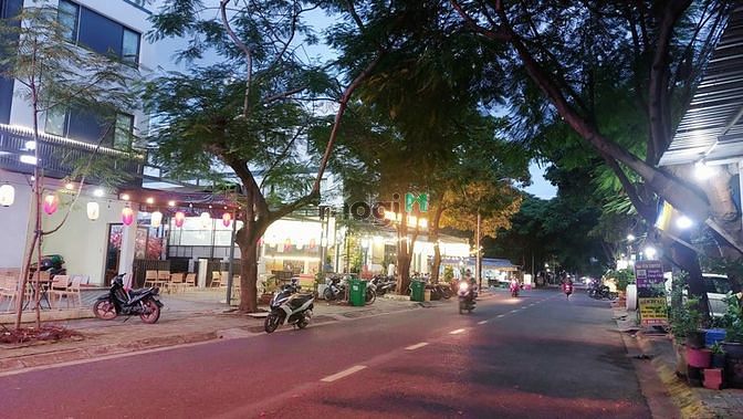 4267283 ảnh đại diện 1