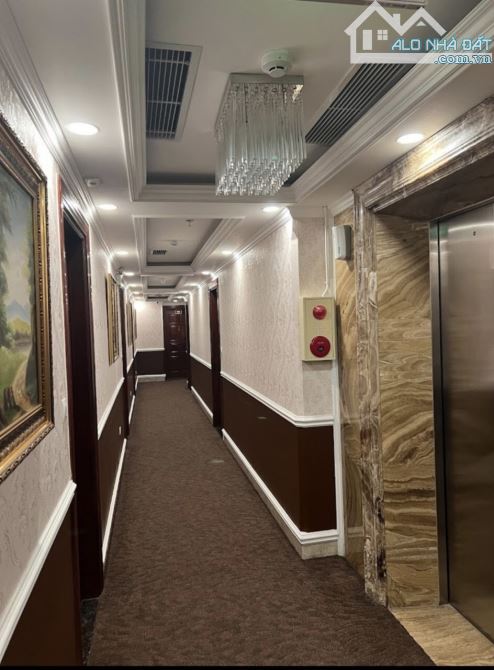 4265539 ảnh đại diện 1