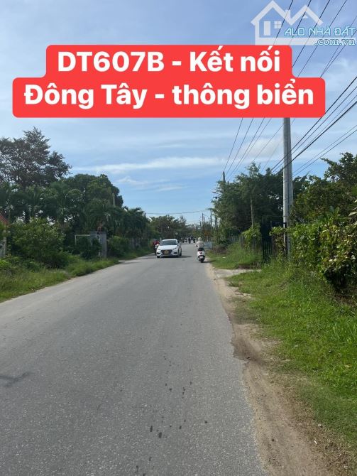 4264448 ảnh đại diện 1