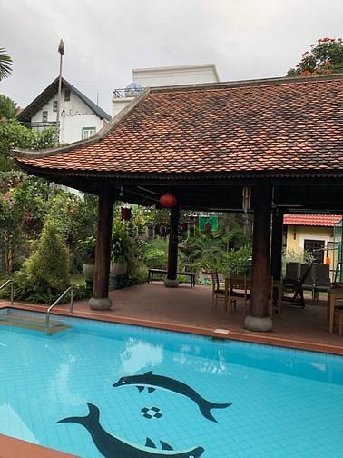 4265992 ảnh đại diện 1