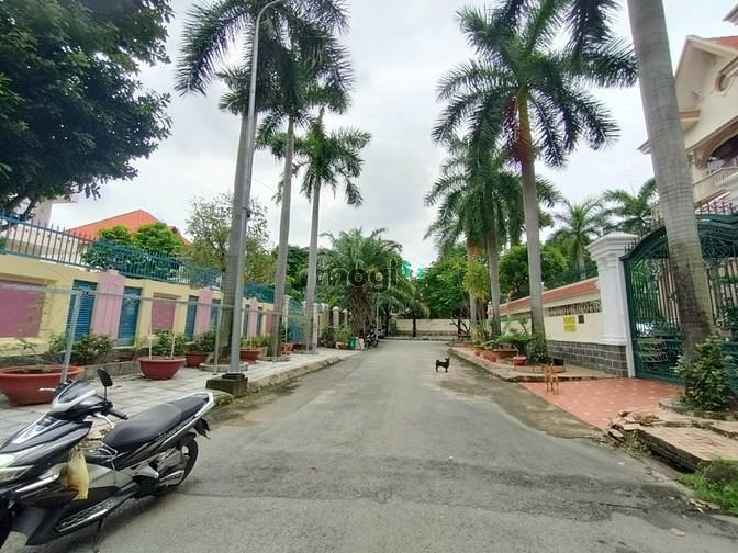 4265992 ảnh đại diện 1