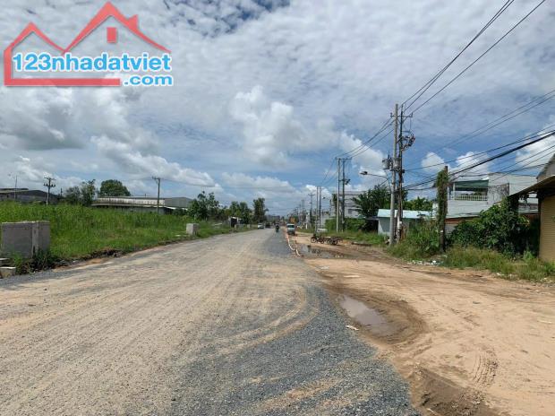 4264666 ảnh đại diện 2