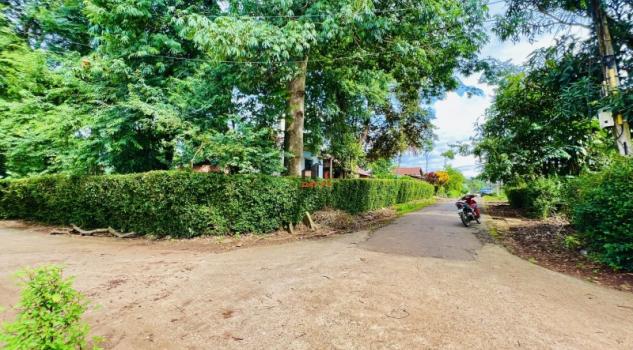 4266182 ảnh đại diện 1