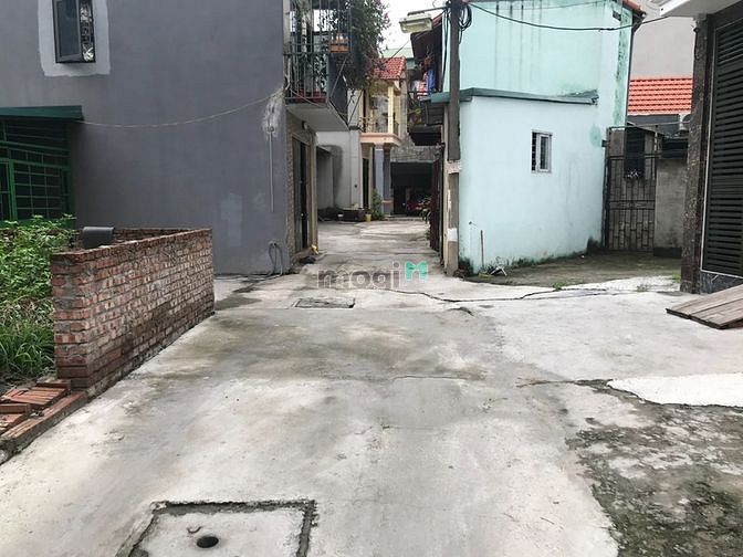 4267177 ảnh đại diện 1