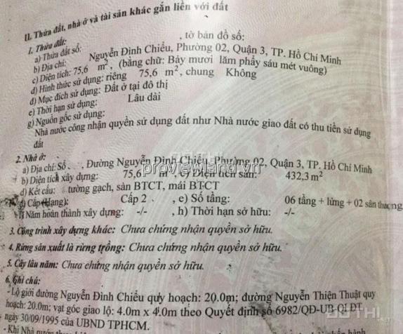 4267210 ảnh đại diện 2
