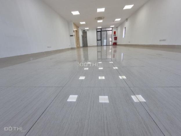 4266773 ảnh đại diện 1
