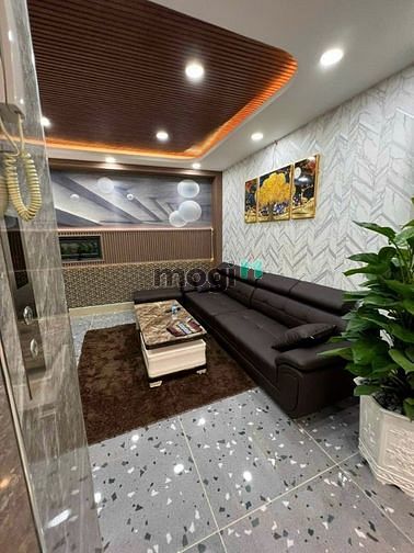 4265805 ảnh đại diện 2