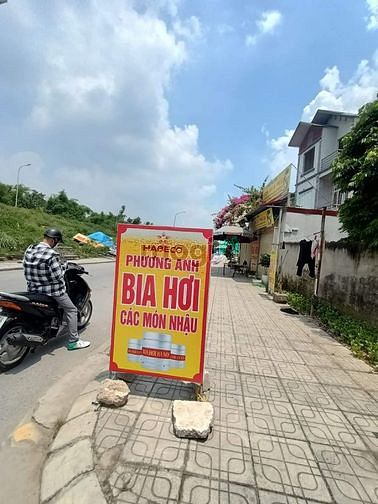 4264599 ảnh đại diện 1