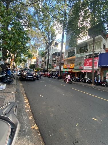 4265782 ảnh đại diện 1