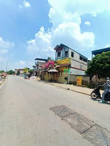 4264599 ảnh đại diện 1