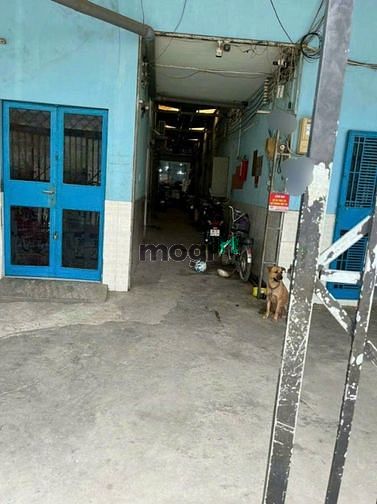 4266576 ảnh đại diện 1