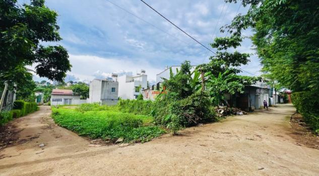 4266182 ảnh đại diện 1