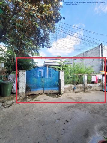 4265792 ảnh đại diện 1