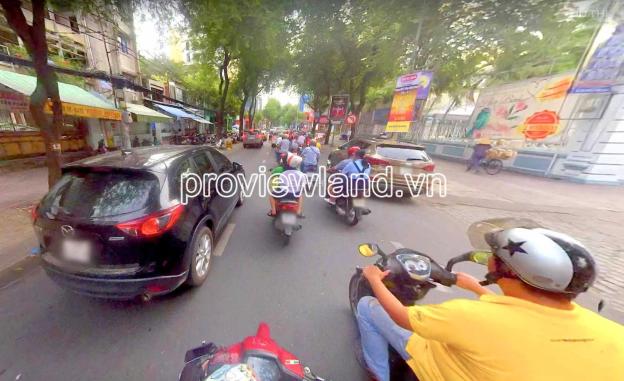 4267225 ảnh đại diện 1