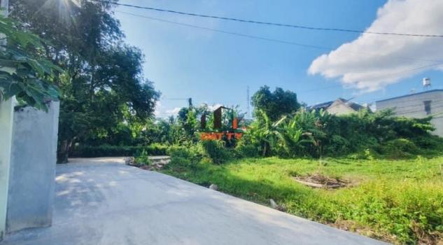 4266166 ảnh đại diện 1