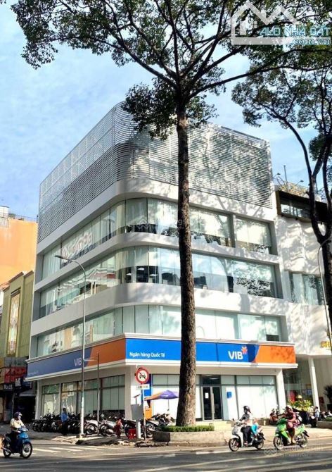 4265401 ảnh đại diện 1