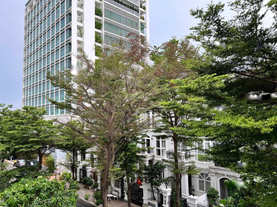 4267044 ảnh đại diện 2