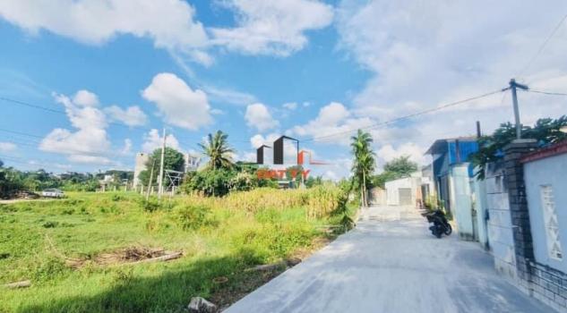 4266166 ảnh đại diện 2