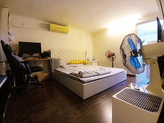 4266484 ảnh đại diện 2
