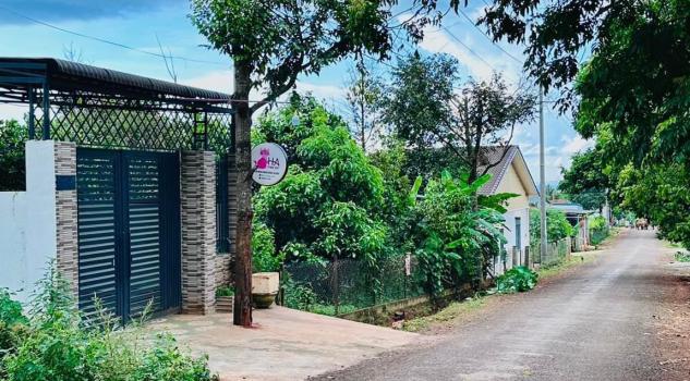 4266181 ảnh đại diện 2