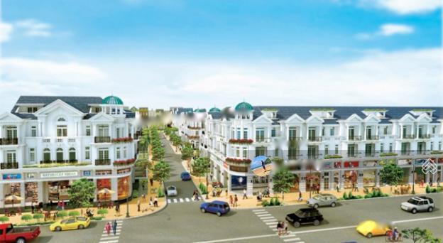 4267056 ảnh đại diện 1