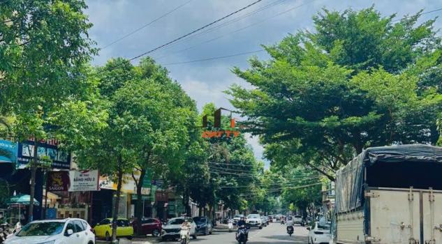 4266200 ảnh đại diện 1