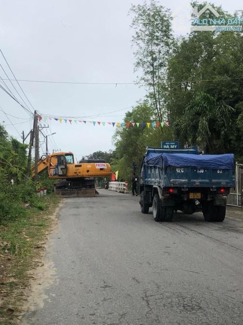 4264448 ảnh đại diện 1