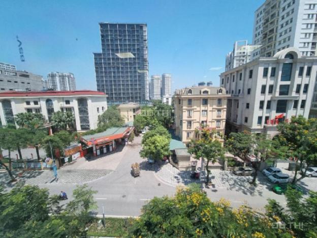 4266773 ảnh đại diện 2