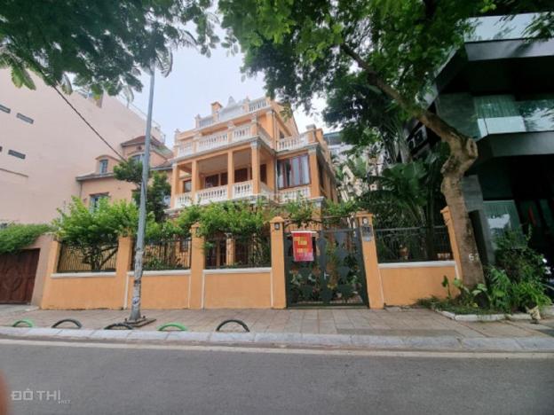 4266738 ảnh đại diện 1