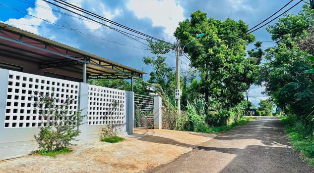 4266181 ảnh đại diện 1