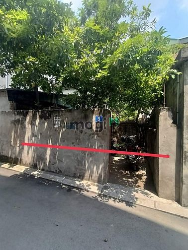4264600 ảnh đại diện 1