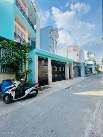 4264393 ảnh đại diện 1