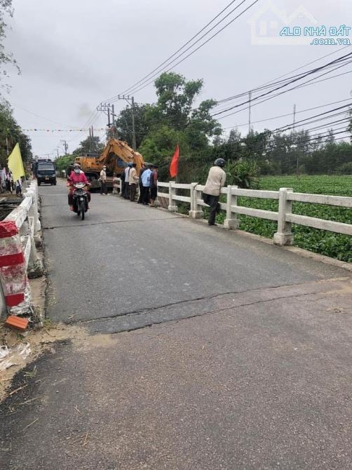 4264448 ảnh đại diện 2