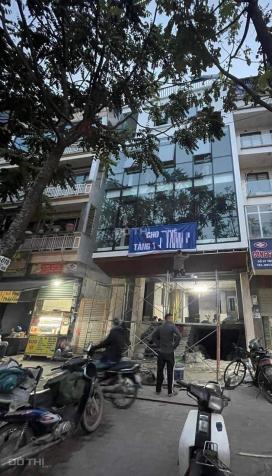 4266777 ảnh đại diện 1