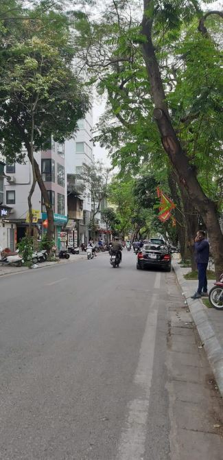 4264399 ảnh đại diện 1