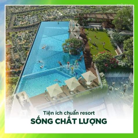 4267835 ảnh đại diện 2