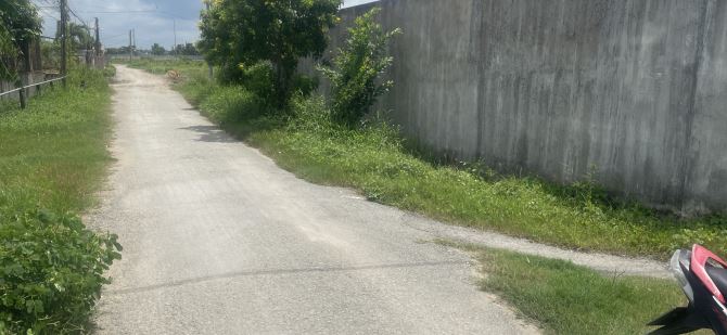 4269415 ảnh đại diện 2